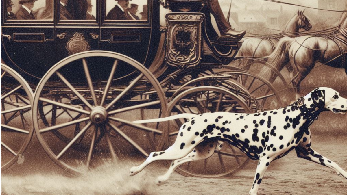 vintage historical image of a Dalmatian dog running next to carriage